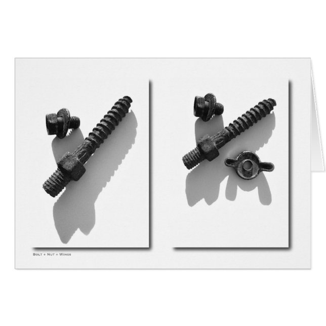 ハードウェア5カード (正面横)