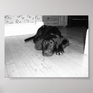 ハードウッドに投げ捨てる ポスター