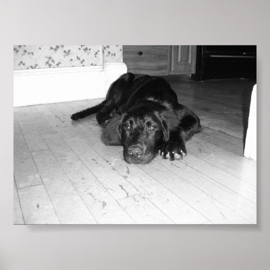 ハードウッドに投げ捨てる ポスター (正面)