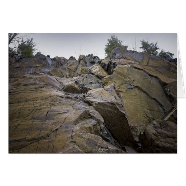 ハードルの克服 (正面横)