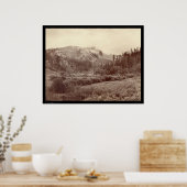 ハーニーのピーク嵐の直後SD 1890 ポスター (キッチン)