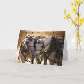 ハーネスのグリーティングカード内の馬 カード (黄色い花)