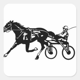 ハーネ競馬 スクエアシール