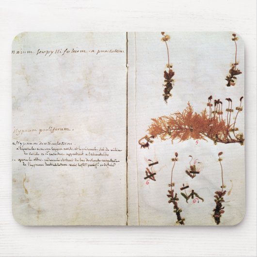 ハーバリウムからの15ページ マウスパッド (正面)
