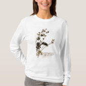 ハーバリウムからのAlchemilla、 Tシャツ (正面)