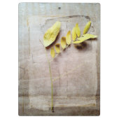 ハーバリウムV クリップボード (裏面)