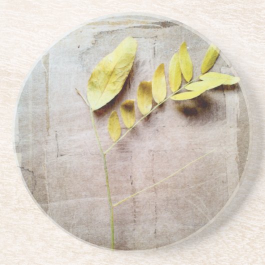 ハーバリウムV コースター (正面)