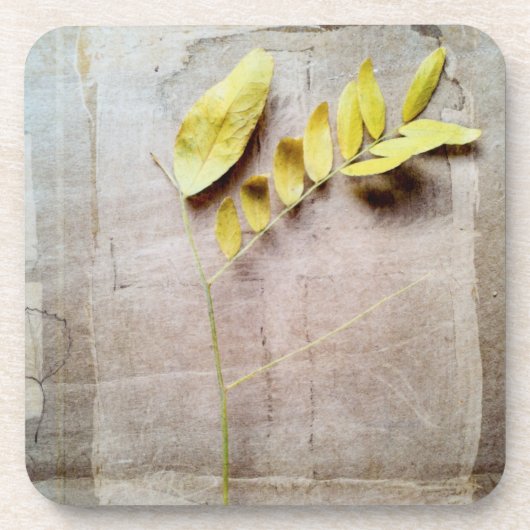 ハーバリウムV コースター (正面)