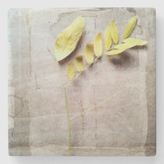 ハーバリウムV ストーンコースター (正面)