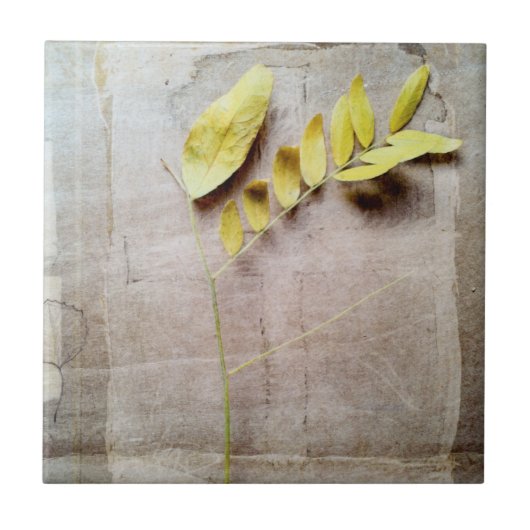 ハーバリウムV タイル (正面)