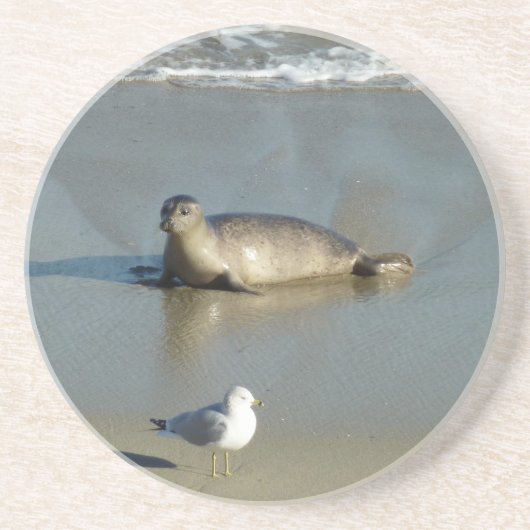 ハーバーシールアットラジョラカリフォルニア コースター (正面)