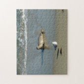 ハーバーシールアットラジョラカリフォルニア ジグソーパズル (縦)