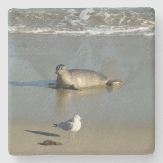 ハーバーシールアットラジョラカリフォルニア ストーンコースター (正面)