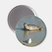 ハーバーシールアットラジョラカリフォルニア マグネット (正面/裏面)