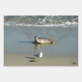 ハーバーシールアットラジョラカリフォルニア ラッピングペーパーシート (正面3)