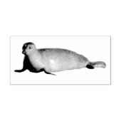 ハーバーシールアットラジョラカリフォルニア ラバースタンプ (インプリント)