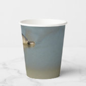 ハーバーシールアットラジョラカリフォルニア 紙コップ (裏面)