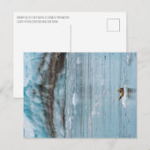 ハーバーシールケナイフィヨルドアラスカ ポストカード (正面/裏面)