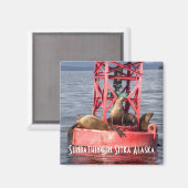 ハーバーシールサンバスシトカアラスカ磁石 マグネット (正面/裏面)