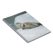 ハーバーシール ノートブック (右側)