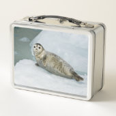 ハーバーシール メタルランチボックス (裏面)