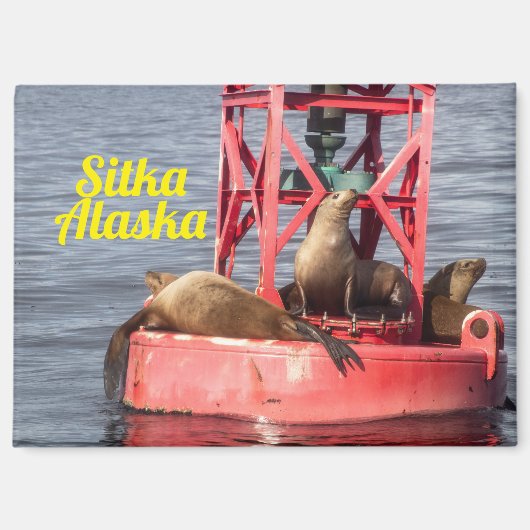 ハーバーシール – Sitka Alaska長方形マグネット マグネット (正面)