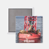ハーバーシール – Sitka Alaska Magnet マグネット (正面/裏面)