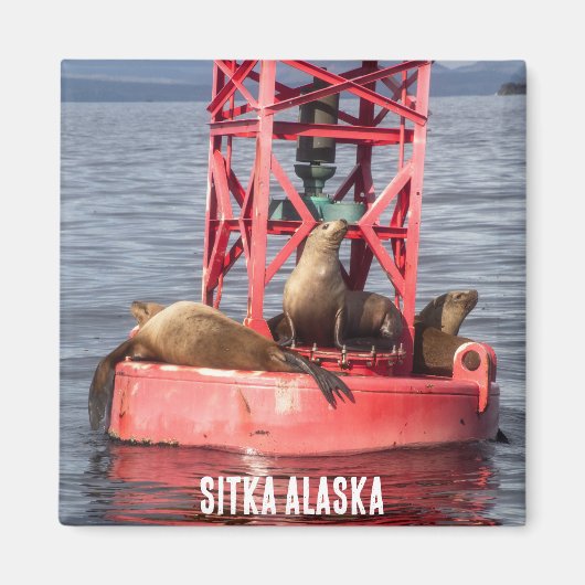 ハーバーシール – Sitka Alaska Magnet マグネット (正面)