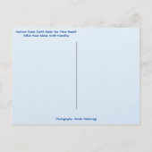 ハーバータウンヨットベイスンマリーナヒルトンヘッドアイランド ポストカード (裏面)