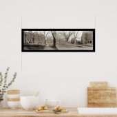 ハーバード大学MA写真1910 ポスター (キッチン)