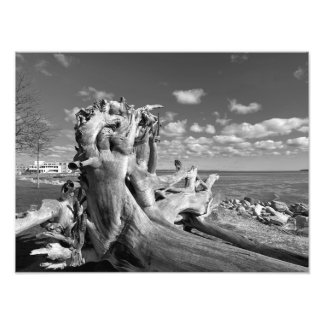 ハーバービュー – マサチューセッツ州プリマス フォトプリント           