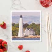 ハーバーライト スタンダードランチョンナプキン (インサイチュ)