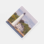 ハーバーライト スタンダードランチョンナプキン (角)