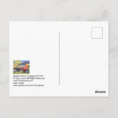 ハーパーズフェリークロッシング#130707 ポストカード (裏面)