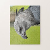 ハーピーイーグルジグソーオイパズル ジグソーパズル (縦)