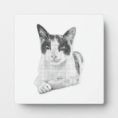 ハーフトーンの子猫の肖像 フォトプラーク (正面)