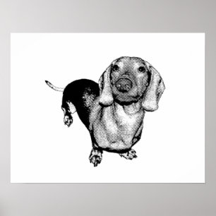 ハーフトーンの白黒写真のDachsund Doxie ポスター