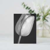 ハーフトーンチューリップ ポストカード (スタンド正面)