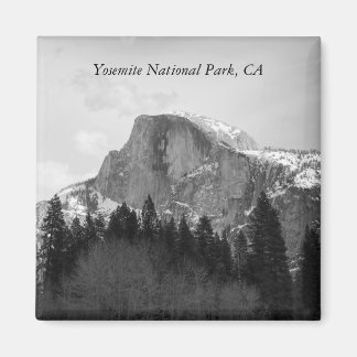 ハーフドーム磁石 マグネット