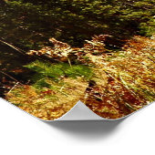 ハーフドーム秋 – ヨセミテ国立公園 ポスター (角)