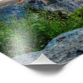 ハーフドーム2 フォトプリント            (角)