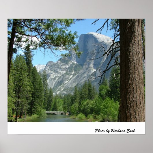 ハーフドーム ポスター (正面)