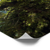 ハーフドーム、ヨセミテポスター ポスター (角)