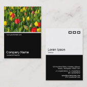 ハーフフォト0151 – チューリップカラフルII 名刺 (正面/裏面)