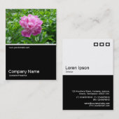 ハーフフォト0158 – ピンク牡丹 名刺 (正面/裏面)