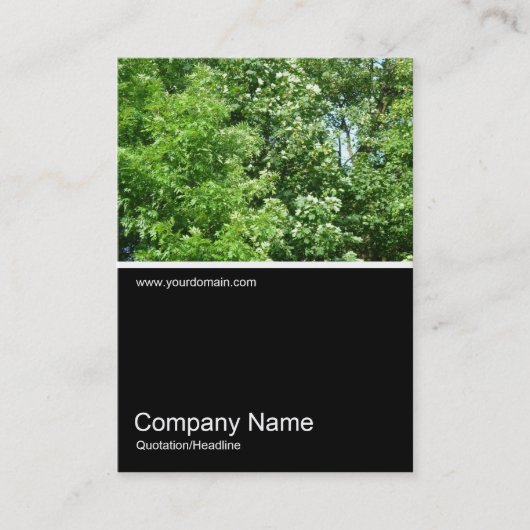 ハーフフォト0160 - Summer Breeze 名刺 (正面)