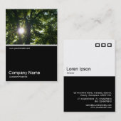 ハーフフォト0183 - Sun Through Tree 名刺 (正面/裏面)