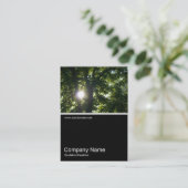 ハーフフォト0183 - Sun Through Tree 名刺 (スタンド正面)
