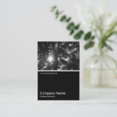 ハーフフォト0184 - Sun Through Trees B&W 名刺 (スタンド正面)