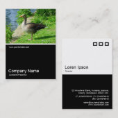 ハーフフォト0224 - Greylag Goose 名刺 (正面/裏面)